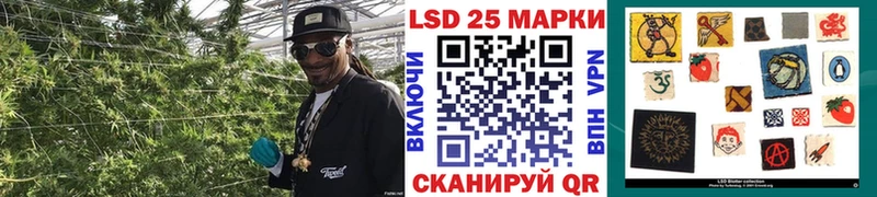 Марки 25I-NBOMe 1500мкг  ОМГ ОМГ маркетплейс  Мураши  дарнет шоп 