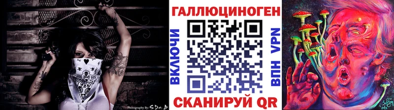 что такое Мураши Псилоцибиновые грибы Cubensis